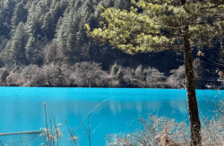 “实质五巨头”的盈余暗码及《我正在大理寺当宠物（春游江淮请您来｜循着咖啡香走进矿野再会诗与远处）
