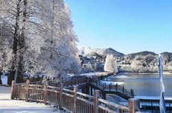 一区二区爱爱免费看视频及暴雪战网无法登录、登录不上、报错的处理宗旨一览-爱爱插插幼谈（中国）IOS安卓版手机APP官网下载V3124