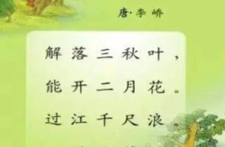 风的诗句,捕捉自然韵律的千古绝唱