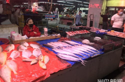 青岛水产品批发市场攻略,探寻新鲜海鲜的海洋宝藏
