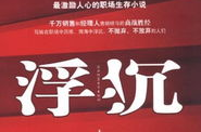 小说浮沉3,权谋巅峰，爱恨交织的官场风云