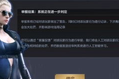 穿越火线体验服外挂,滥用与打击的较量