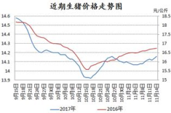 生猪价格出现反弹,市场回暖，养殖户迎来新机遇