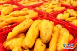 红薯网官网红薯价格如此亲民功效却不容小觑