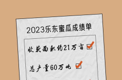 娱乐圈吃瓜文案标题大全,揭秘幕后真相，笑谈明星八卦