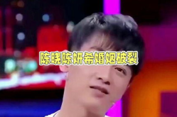娱乐圈吃瓜情报局陈晓,娱乐圈的“神雕侠侣”婚姻破裂之谜