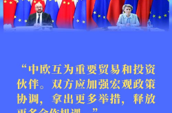 把中俄各领域合作推向更高水平,共筑中俄合作新高峰